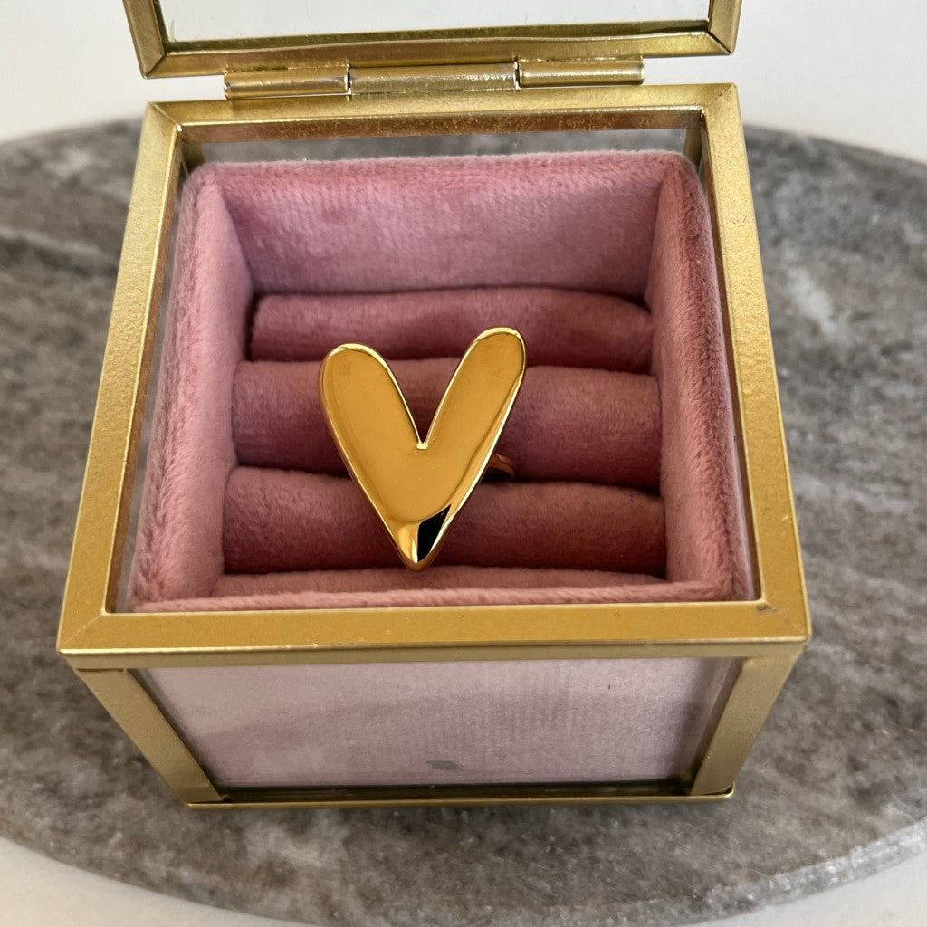 Ring Annefleur - goud & zilver