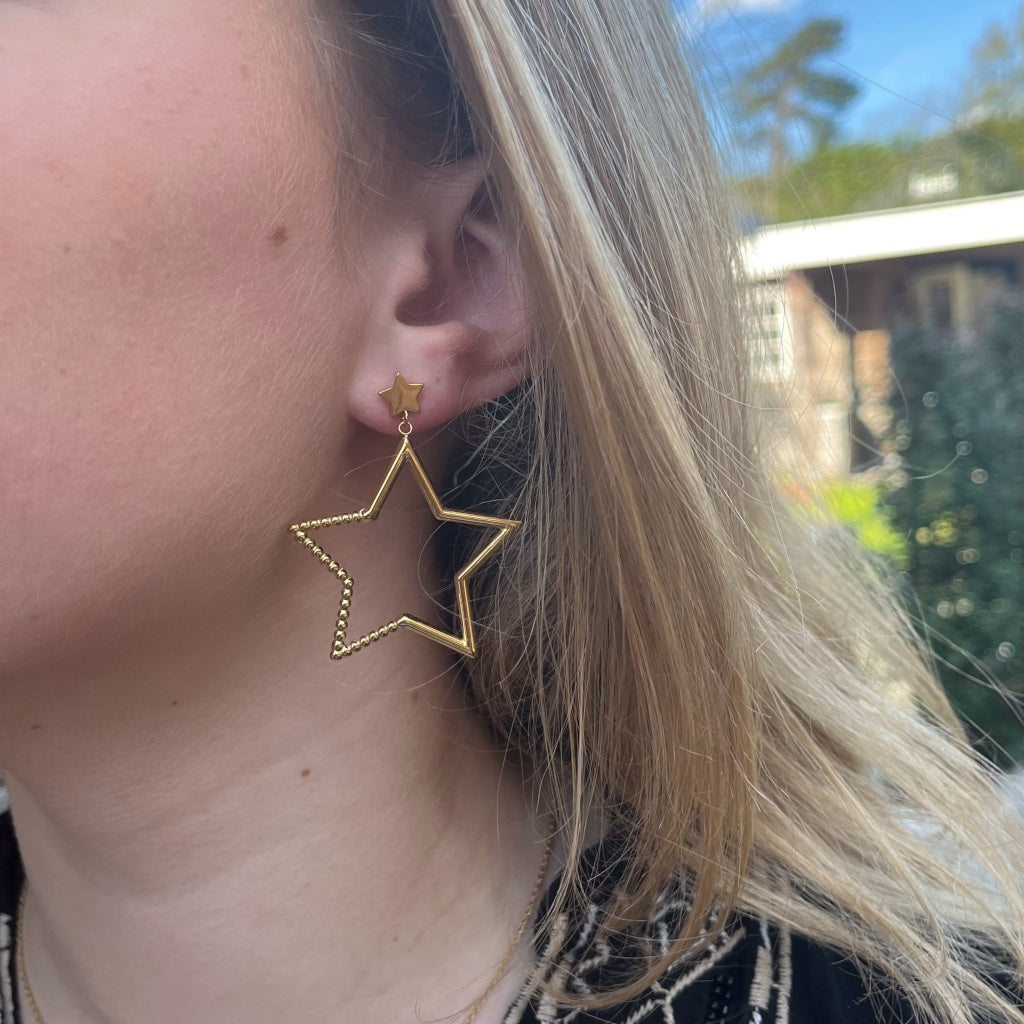 Oorbel Eden - goud & zilver