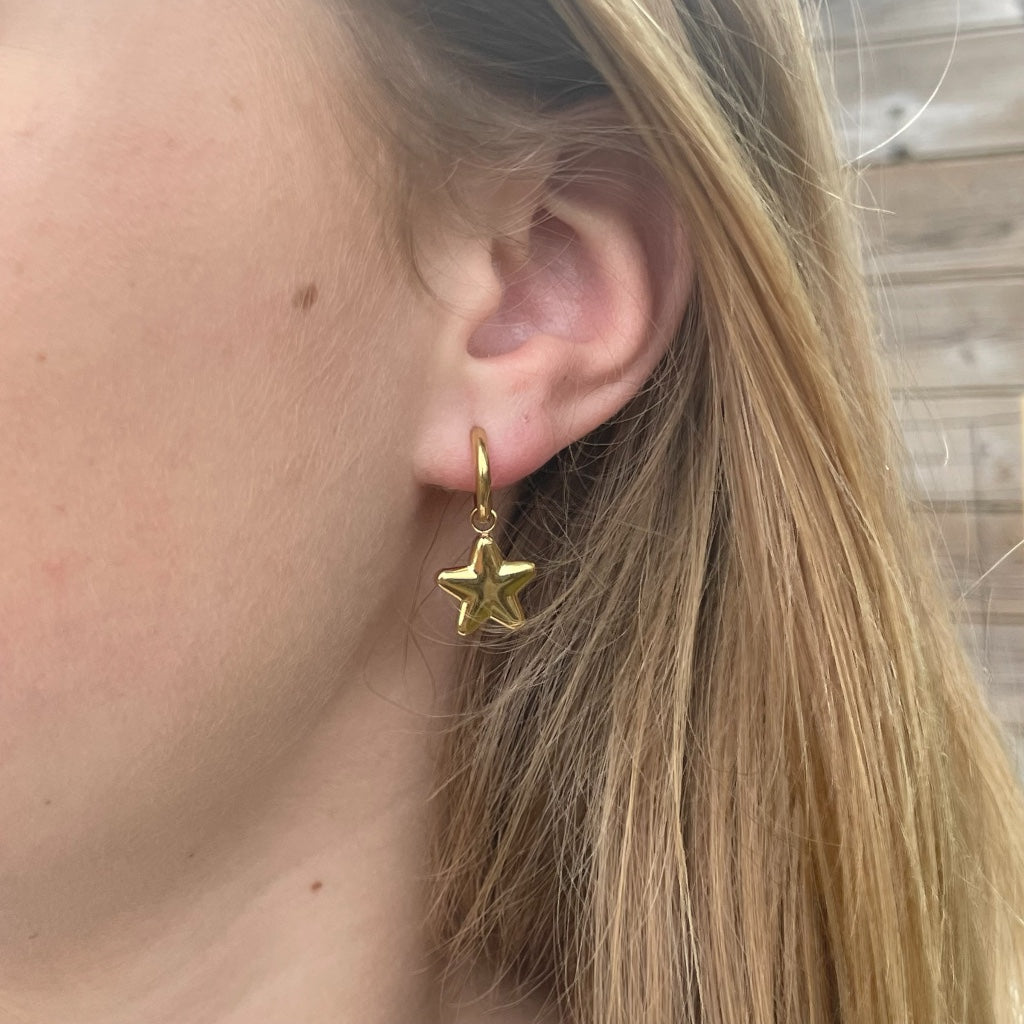 Oorbel Amina - zilver & goud