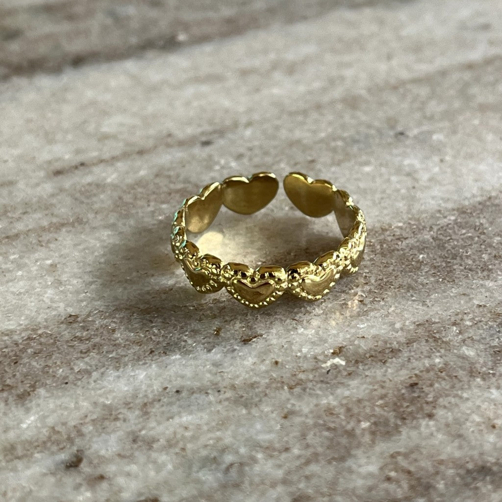 Ring Aaf - zilver & goud