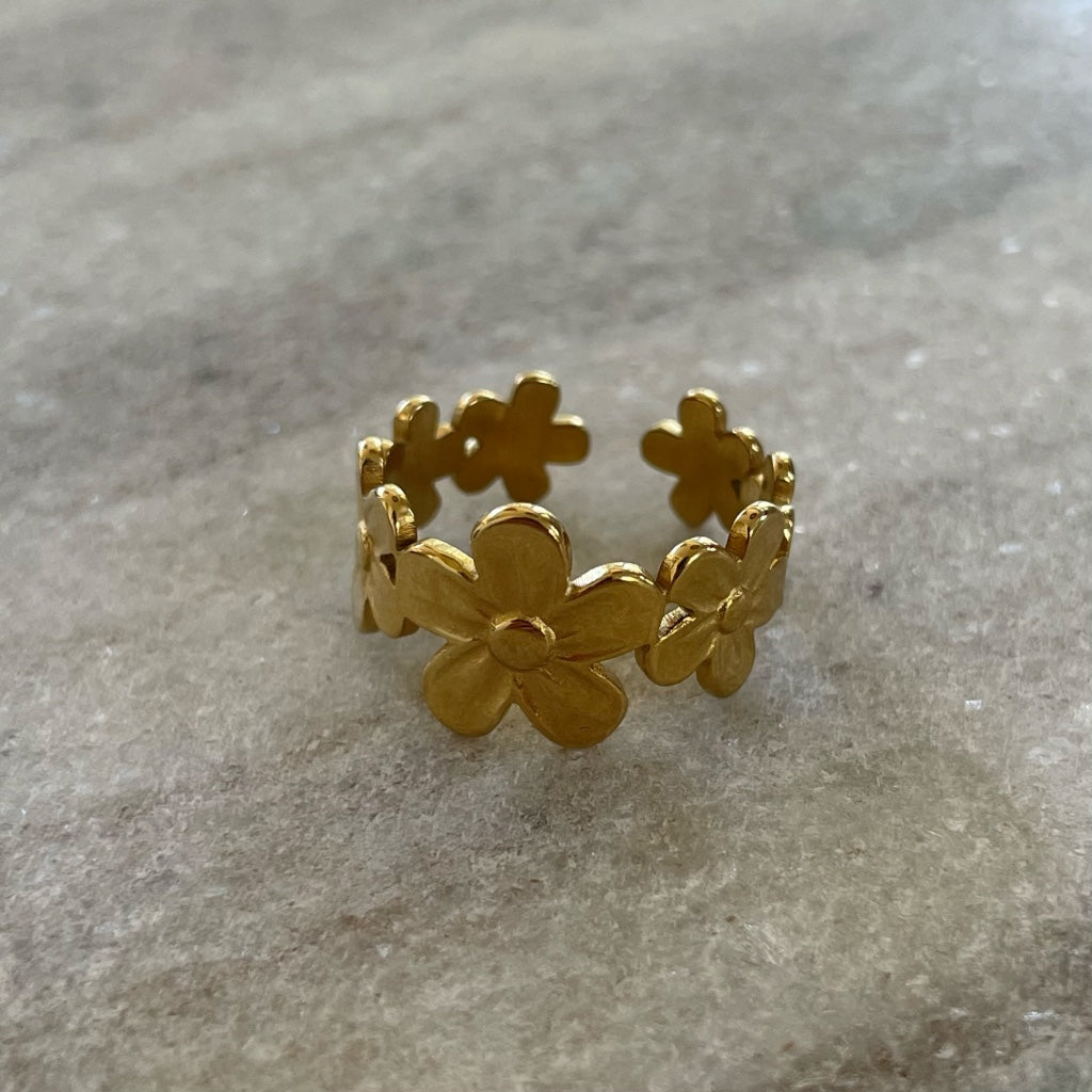 Ring Rebecca - goud & zilver